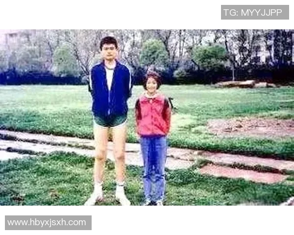 模仿王姚明的篮球技巧与风格探索之旅